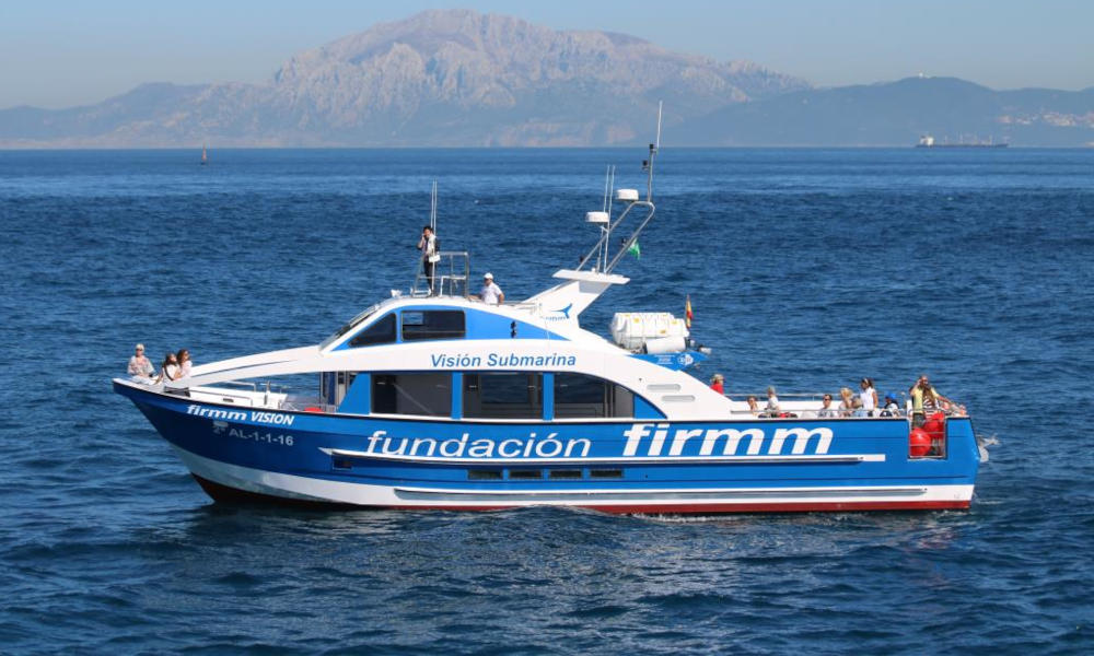 Whale Watching Andalusia