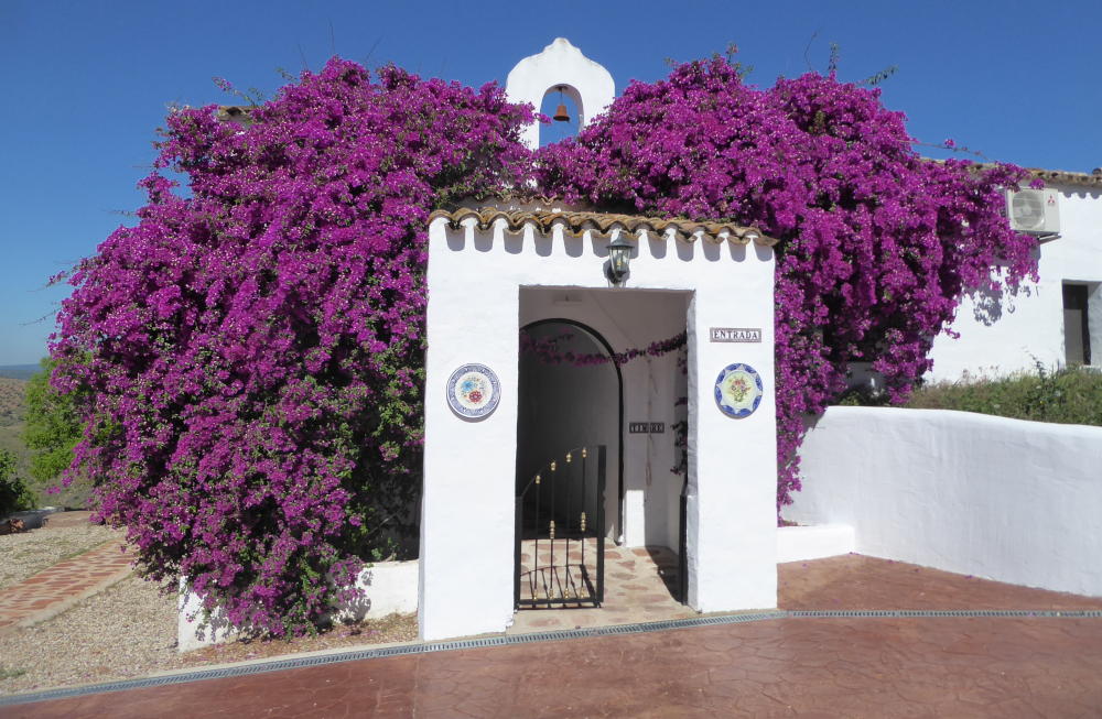 Albergo di campagna Olivetum Colina Andalusia